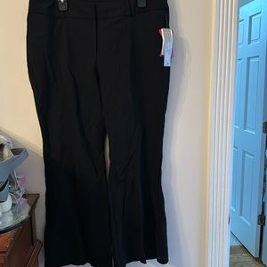 NWT Fashion Bug 16p black pants